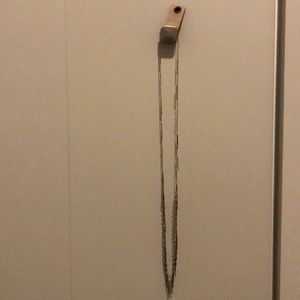 Anthropologie silver long necklace